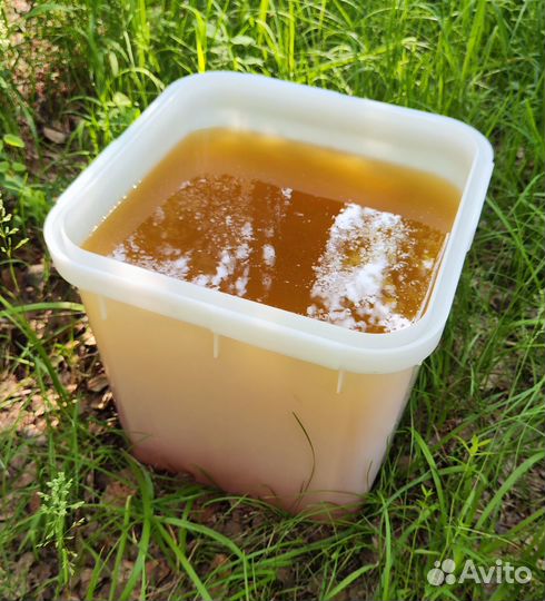 Опт мед натуральный из Алтая от 16 кг