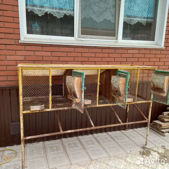 Клетки для кроликов