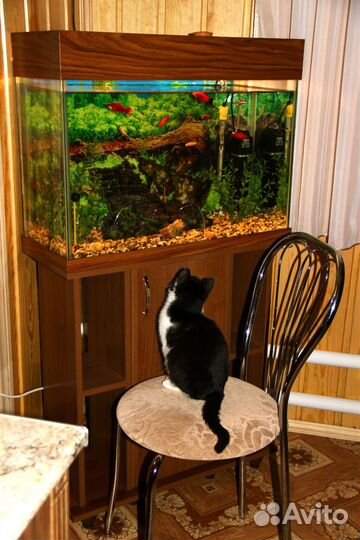 Аквариум+тумба