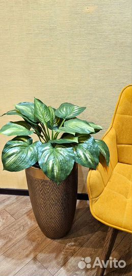 Искусственный Фикус