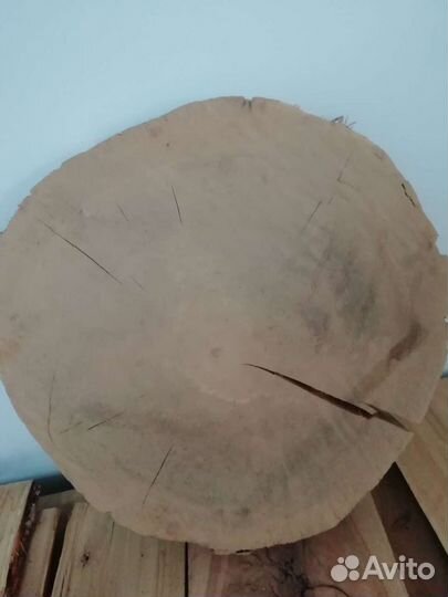 Спилы торцевые дуб