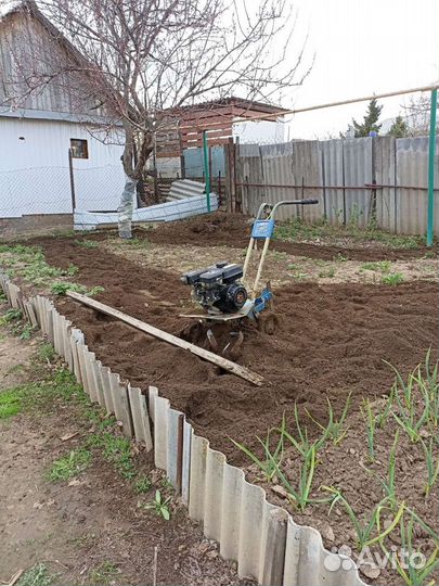 Вспашка участка в Марксе