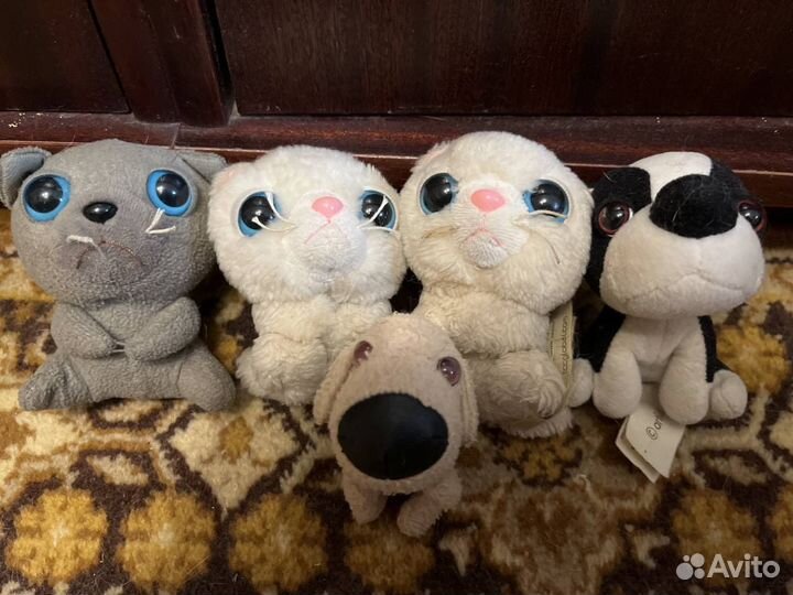 The Cat Collection