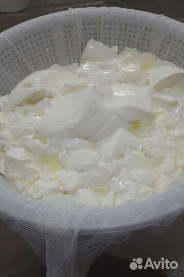 Молоко, творог сметана