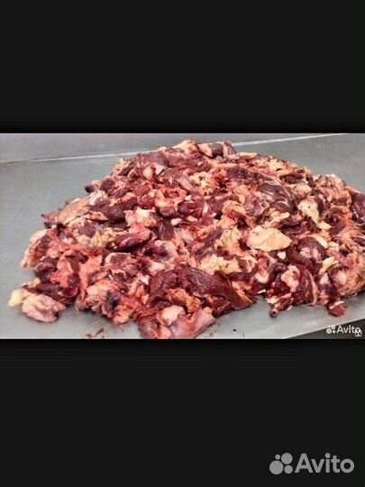 Конский полезный корм для кошек и собак