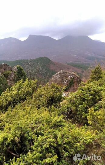 Женская обувь