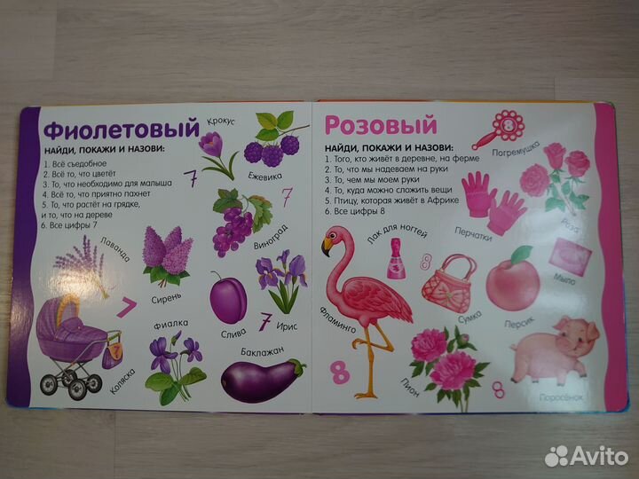 Книга Изучаем цвета, слова, цифры