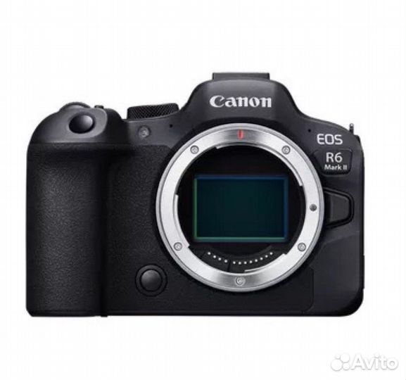 Canon eos R6 mark II body