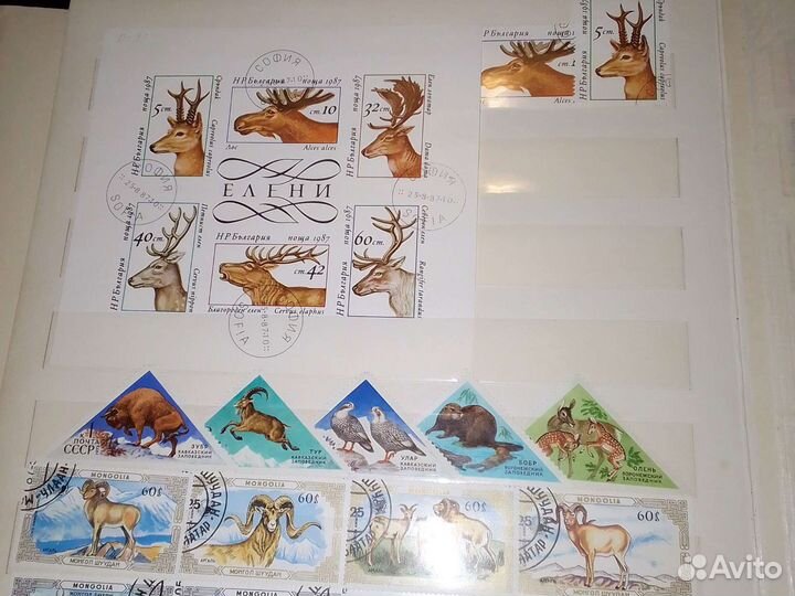 Почтовые марки фауна