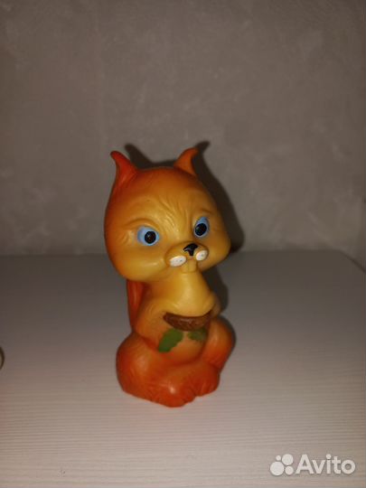 Белка дутыш