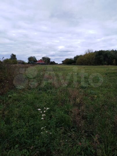 Участок 50 сот. (ИЖС)