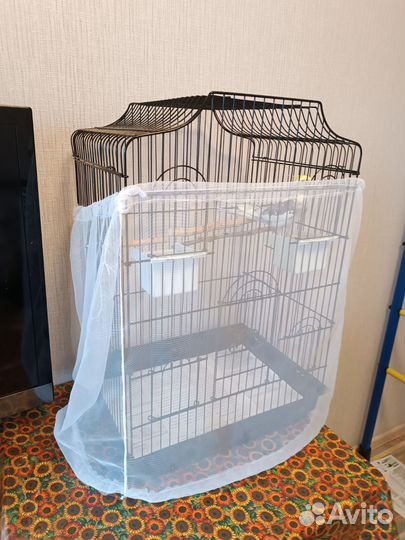 Попугай корелла с клеткой и кормом