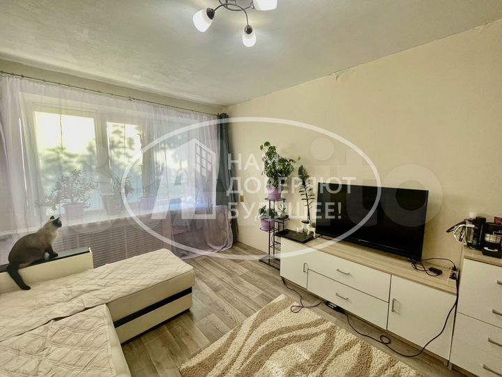 1-к. квартира, 29,7 м², 1/9 эт.