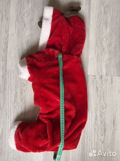 Костюм для собаки