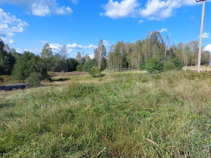 Участок 3,3 га (ИЖС)