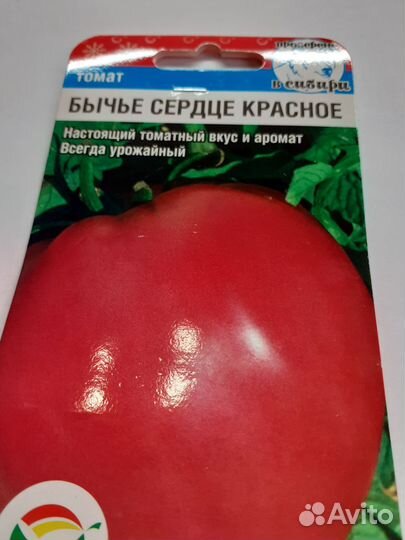 Рассада помидор разных сортов и сроков созревания