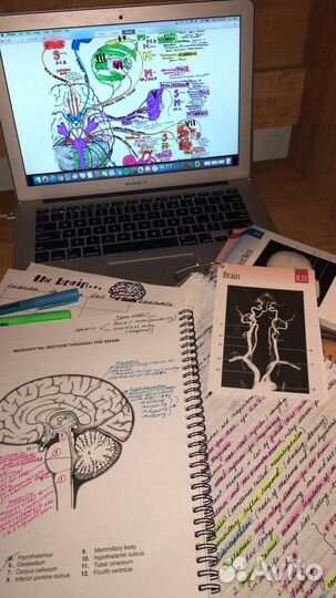 Репетитор по биологии огэ и егэ онлайн