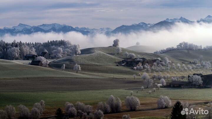 Помощник менеджера по работе с маркетплейсами