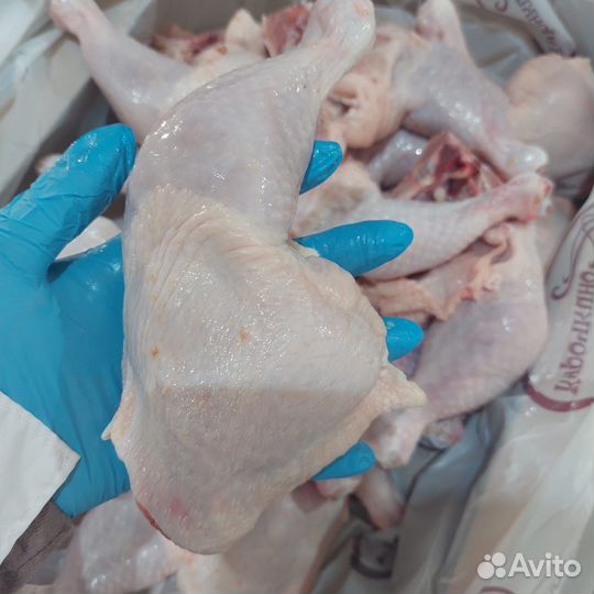 Окорочка куриные