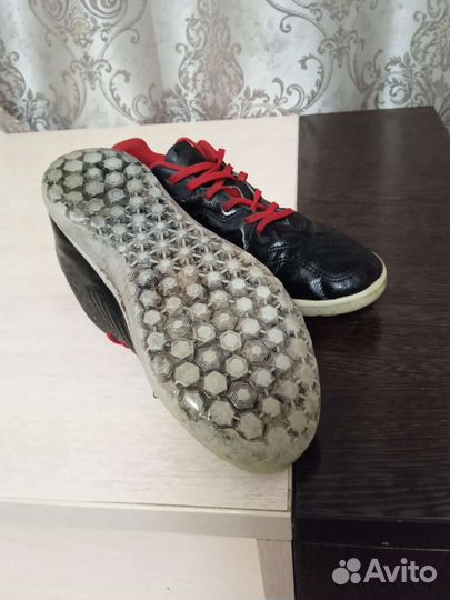 Сороконожки