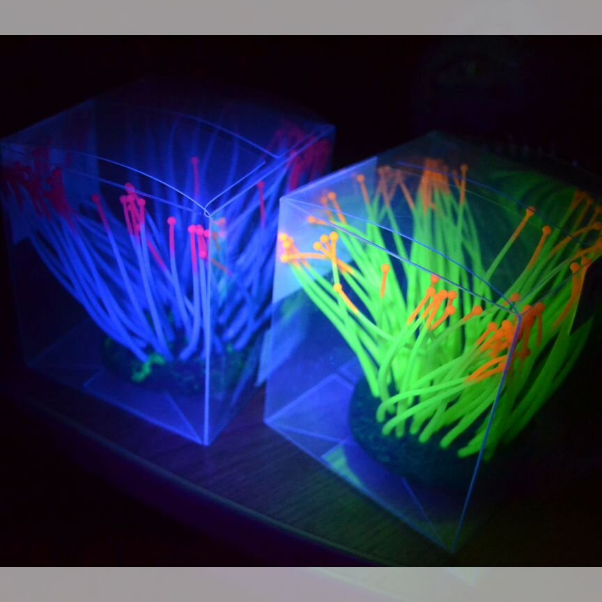 Декор для аквариума актиния светящийся
