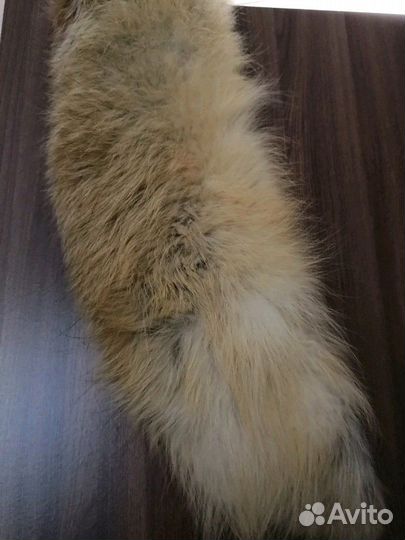 Воротник из лисы