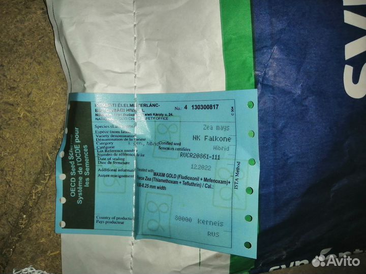 Продам семена Кукурузы