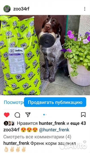 Корм для собак и кошек Зооринг