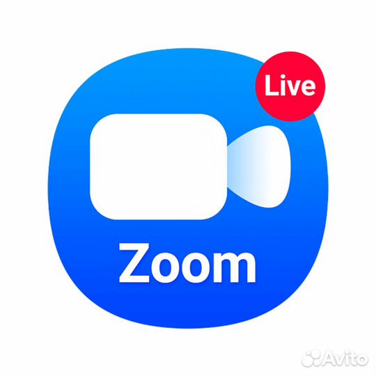 Оплата подписки Zoom из России