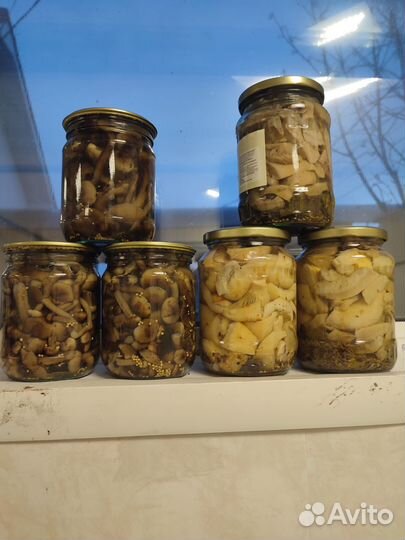 Грибы грузди, опята