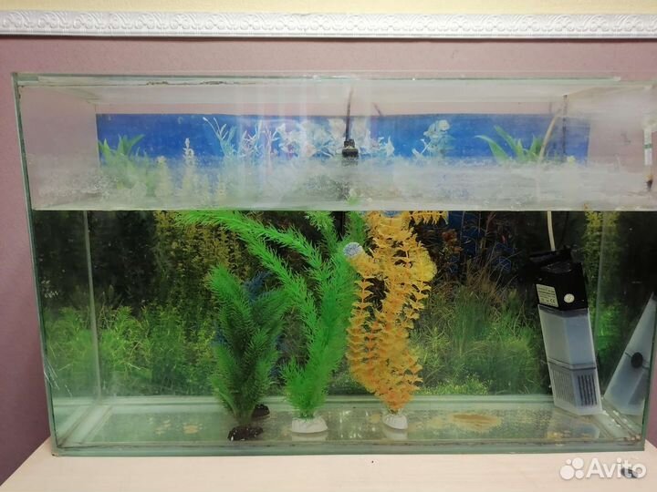 Аквариум