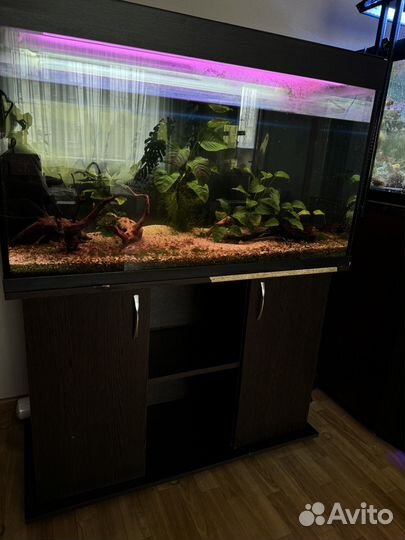 Аквариум с тумбой