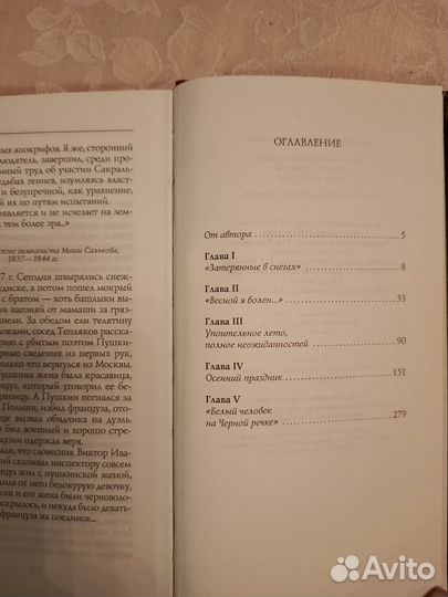Книга о Пушкине Счастье земное, кара небесная