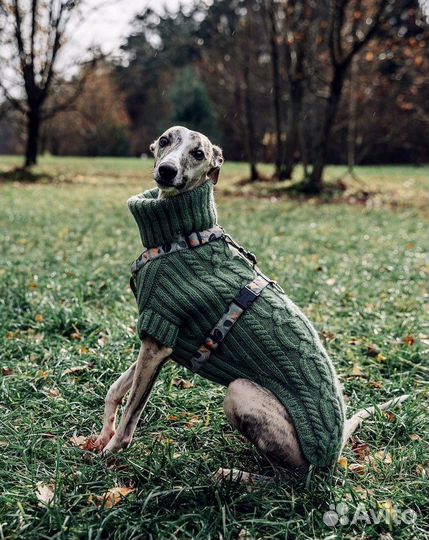 Вязаный свитер для собаки biglini