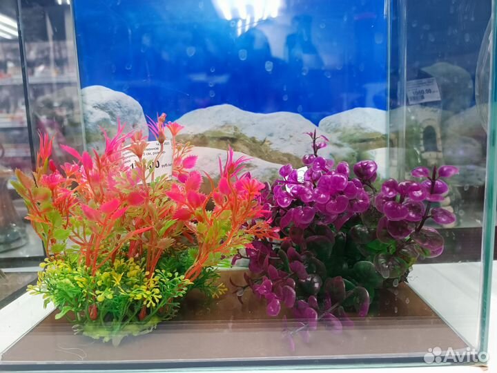 Растения для аквариума, декор для аквариума