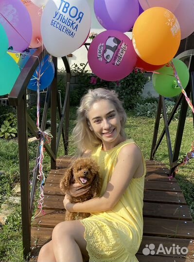 Передержка собак