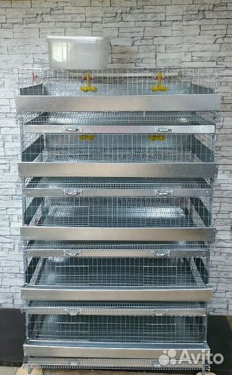 Клетка для перепелов 5 секций