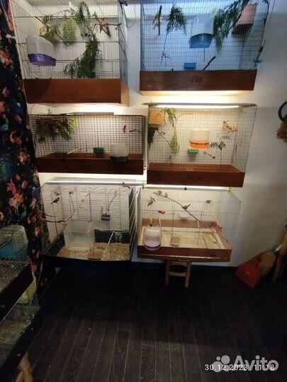 Клетки для птиц