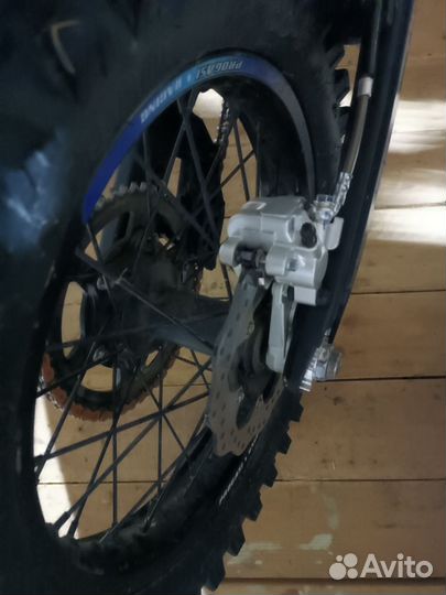 Progasi rase 300 ему 5 месяцев