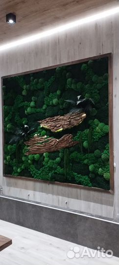 Фитокартина живая стена из мха