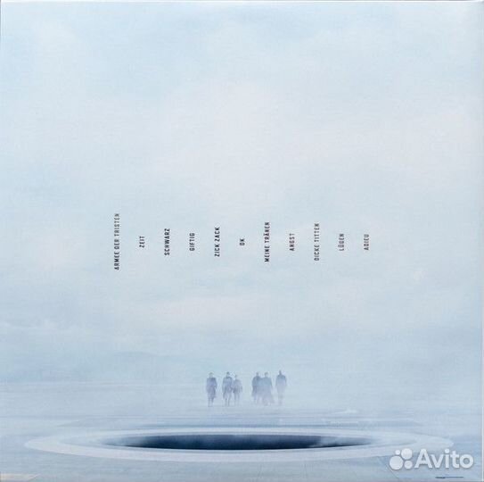 Обновлено Виниловые пластинки - Rammstein