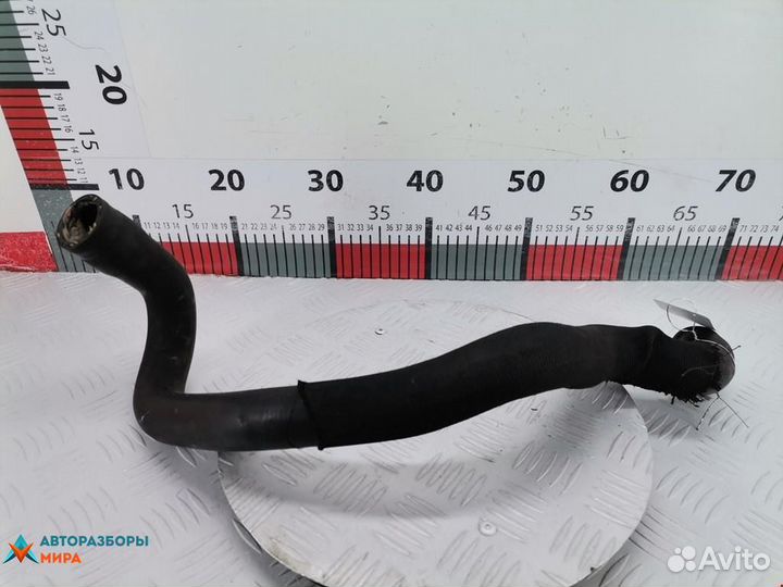 Патрубок радиатора Peugeot 3008 2010 1351QS