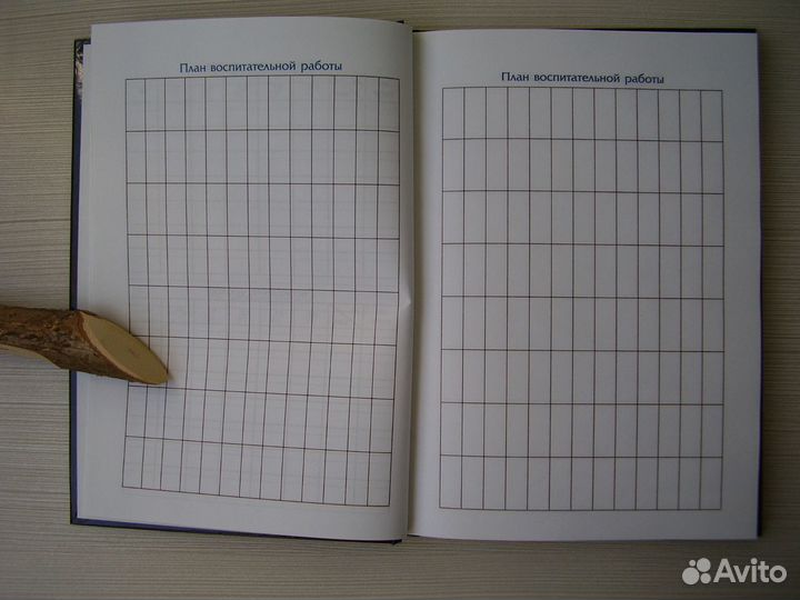 Записная книга учителя, преподавателя