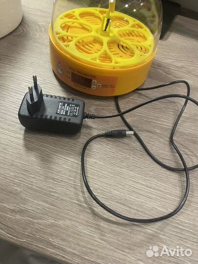 Инкубатор для яиц