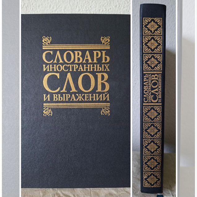Словарь иностранных слов и выражений 1999