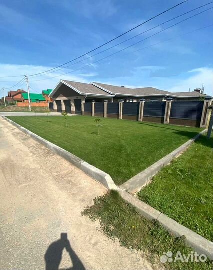 Газон. Газон рулонный, газон посевной