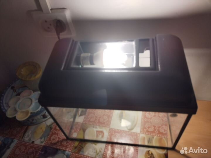 Аквариум 10 л с подсветкой и крышкой