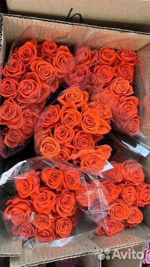 Розы оптом и в розницу