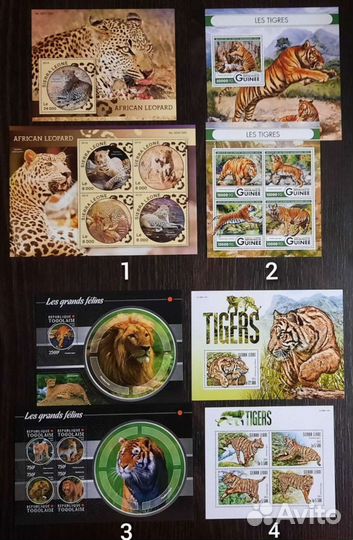 Коллекция фауна Кошки 2 (чистые )