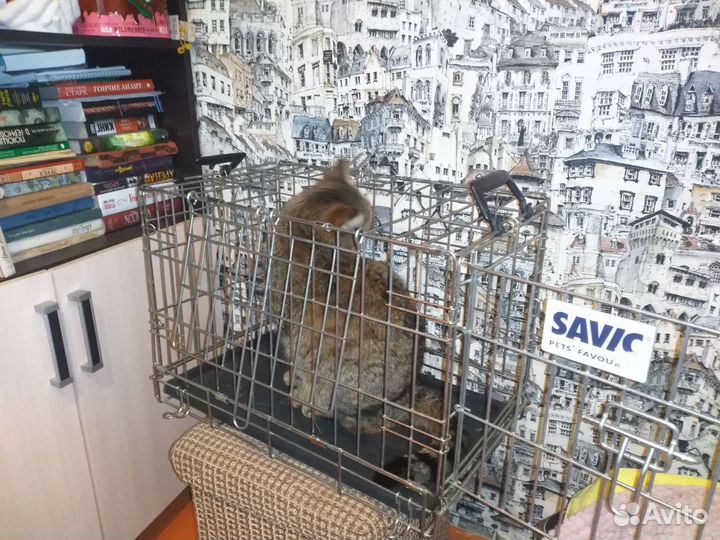 Клетка для животных бу
